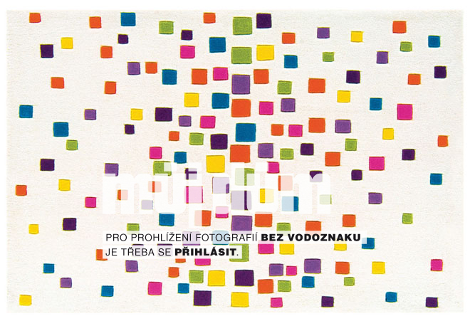 Obrázek z galerie