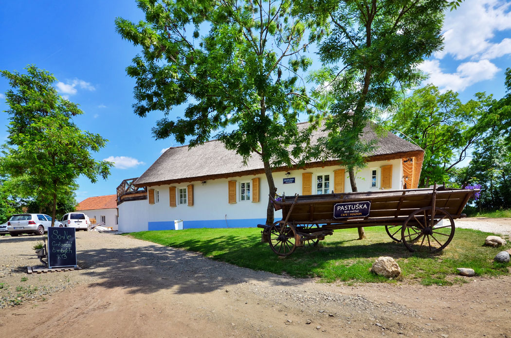 Obrázek z galerie