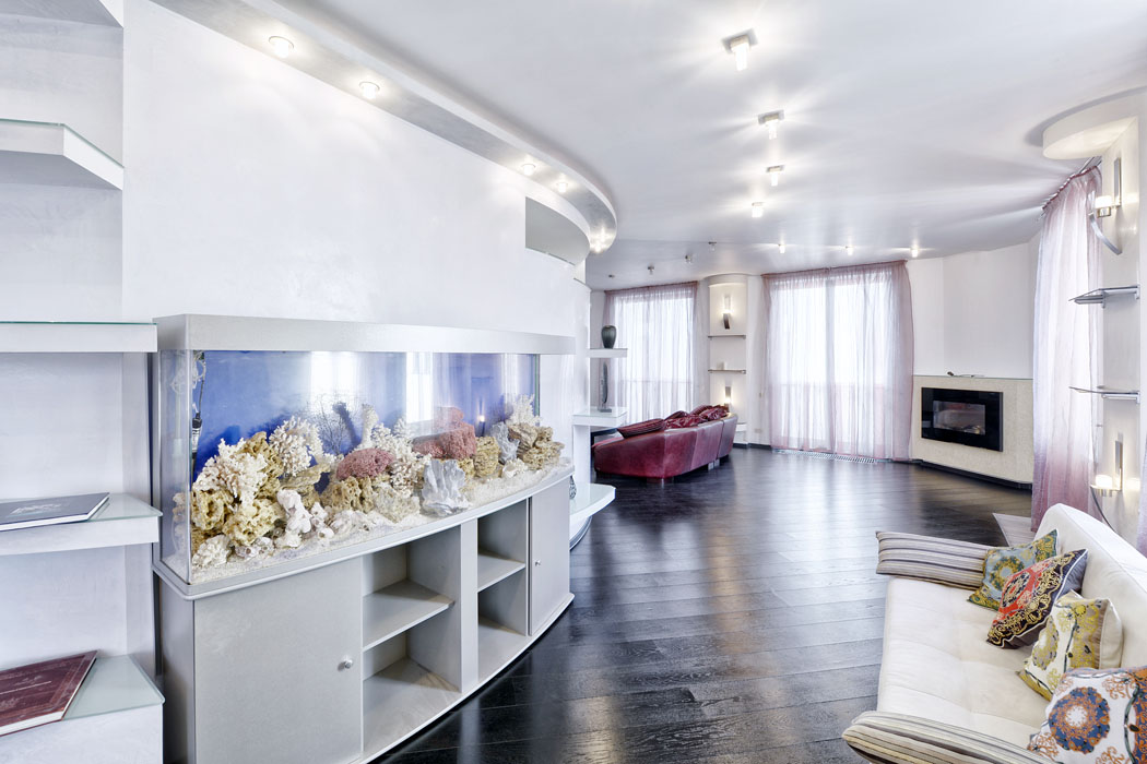Obrázek z galerie