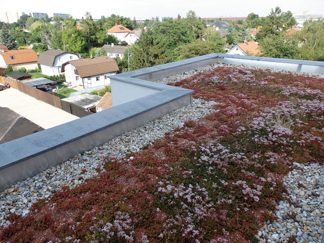 Obrázek z galerie