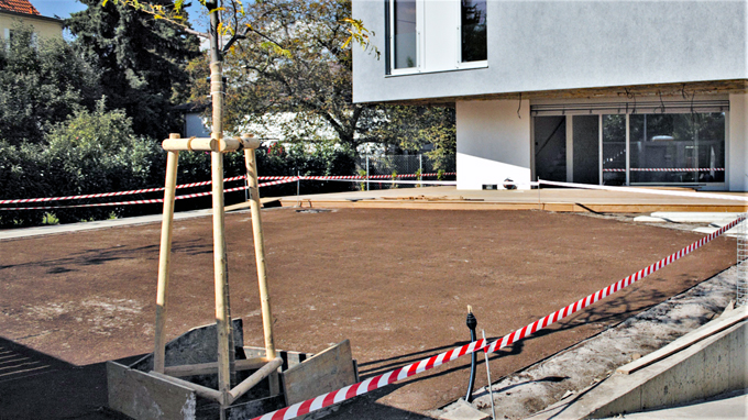 Obrázek z galerie