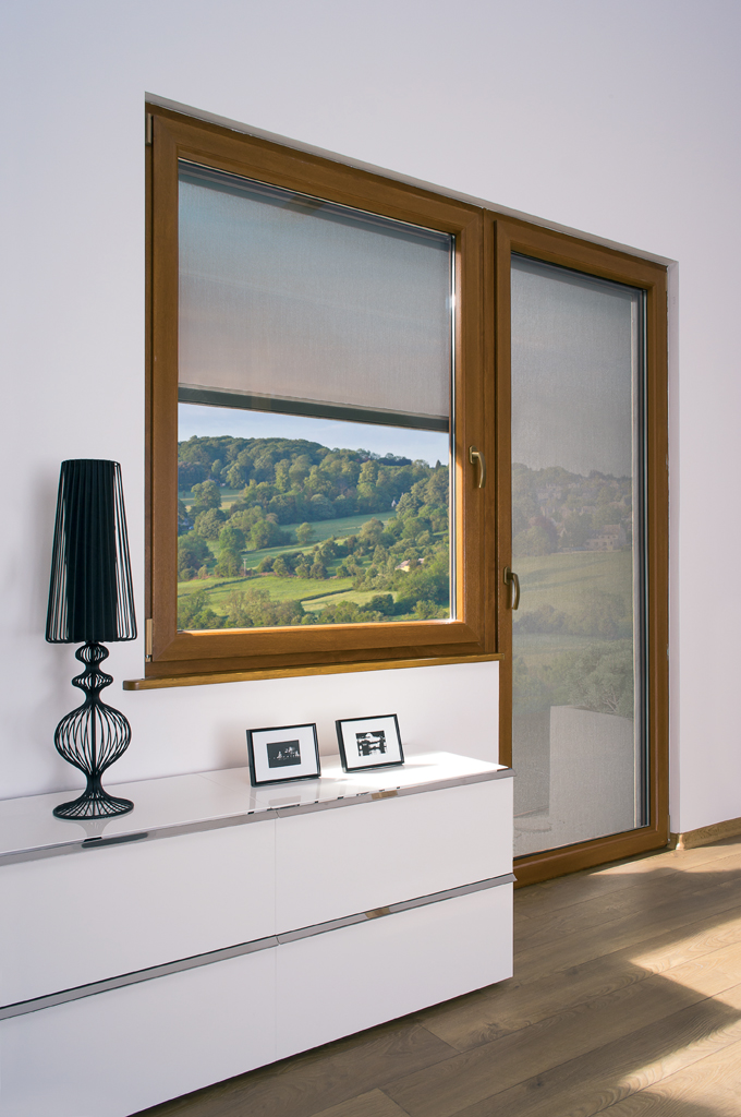 Obrázek z galerie