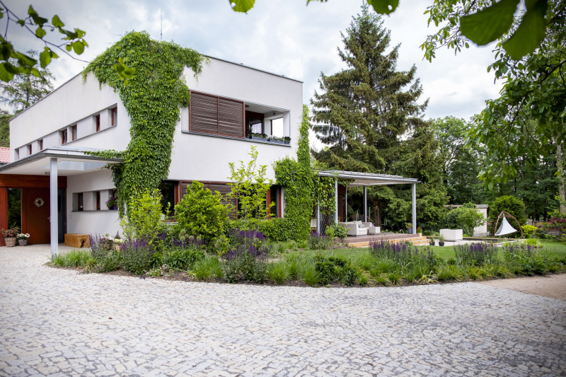Obrázek z galerie