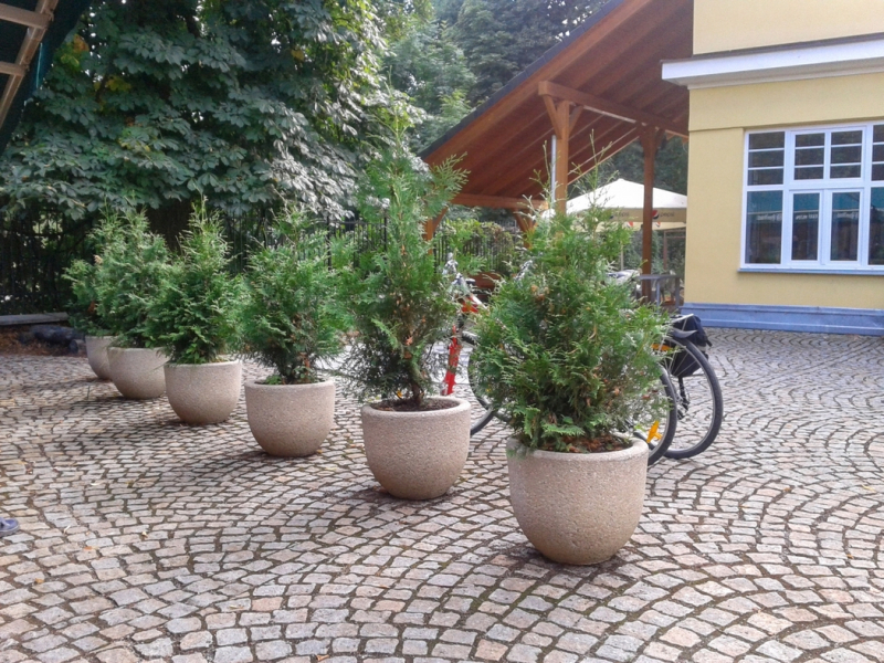 Obrázek z galerie