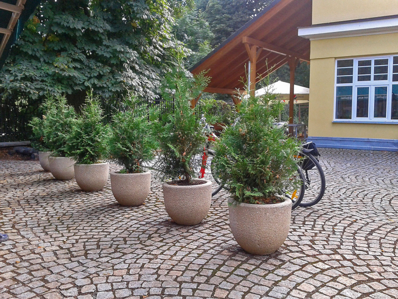 Obrázek z galerie