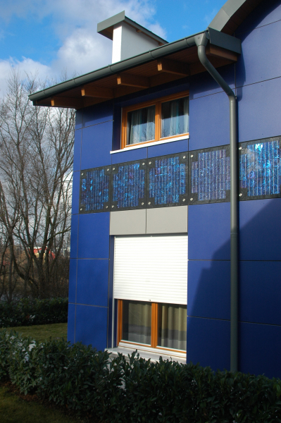 Obrázek z galerie