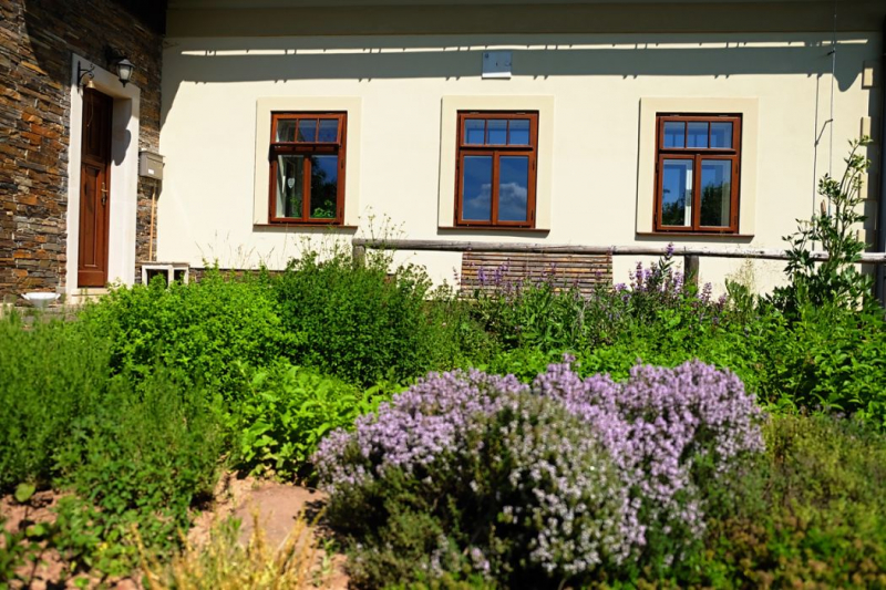 Obrázek z galerie