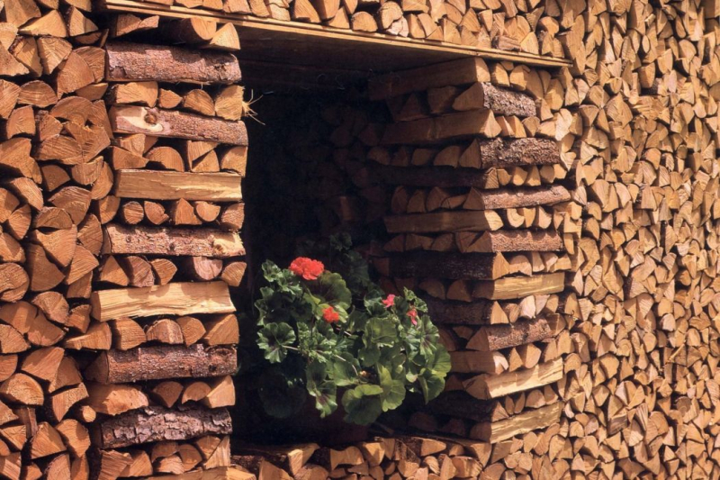 Obrázek z galerie